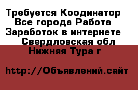 Требуется Коодинатор - Все города Работа » Заработок в интернете   . Свердловская обл.,Нижняя Тура г.